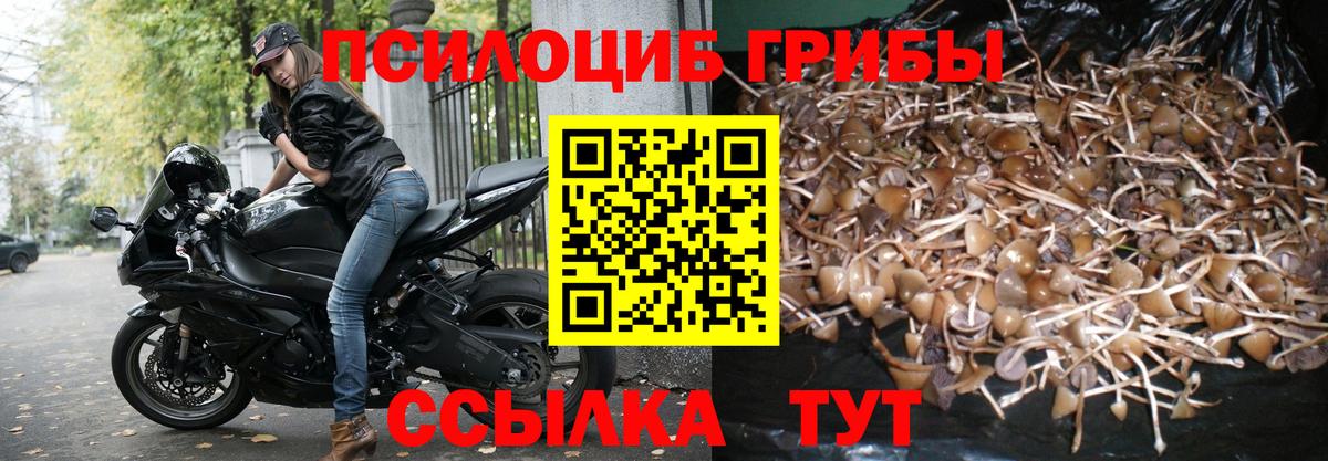ГАШ  Канабис  Кузнецк  Вход с VPN  Меф  